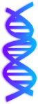 dna-md