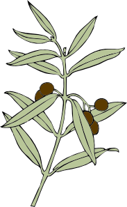 11970962481189414589johnny_automatic_olive_branch.svg.med